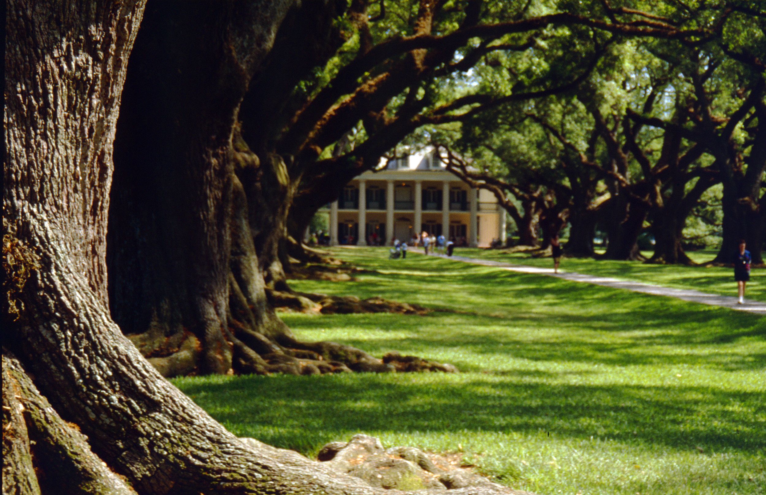 Oak Alley Plantation