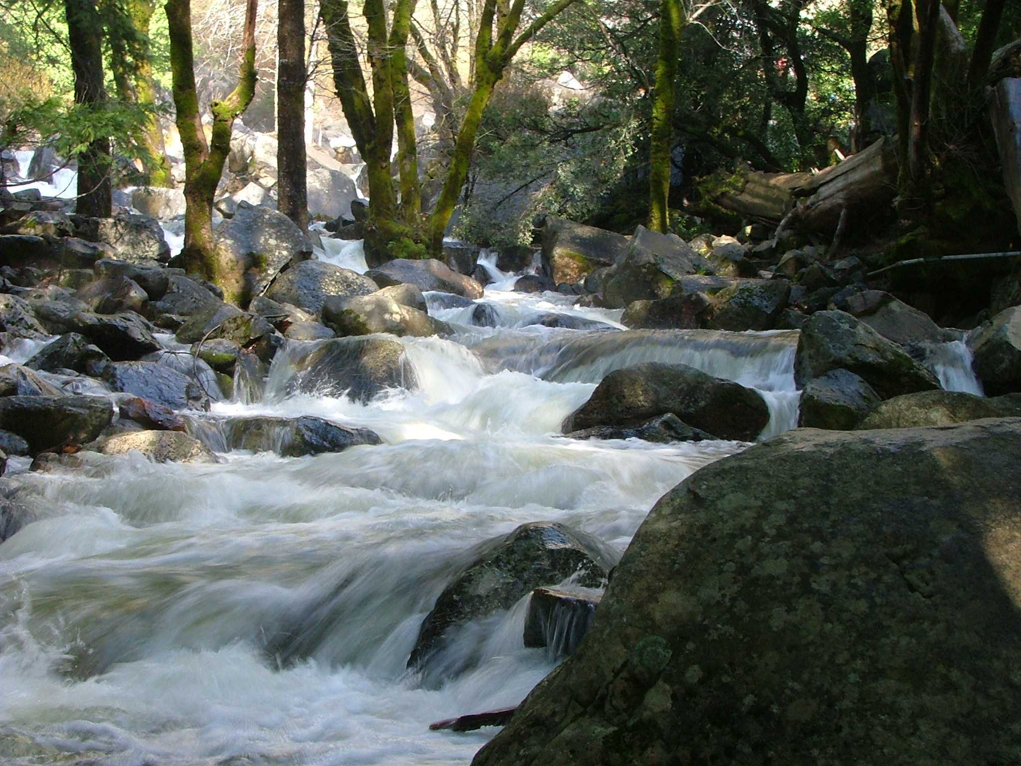 Yosemite National Park